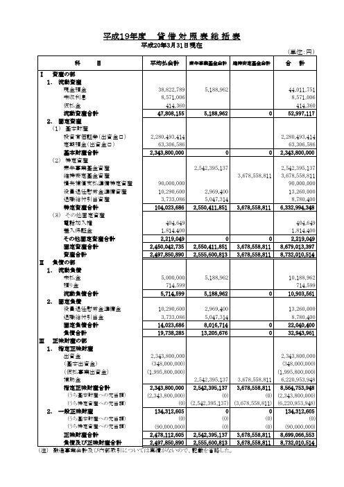 平成19年度 贷 借 対 照 表 総 括 表