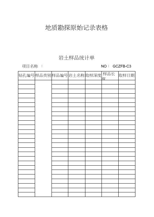 地质勘探原始记录表格模板