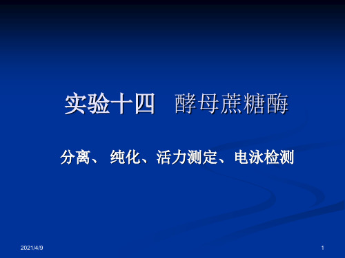 实验十四---酵母蔗糖酶的提取纯化及活力测定