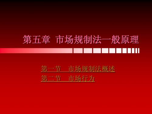 经济法原理与实务_第5章 市场规制法一般原理