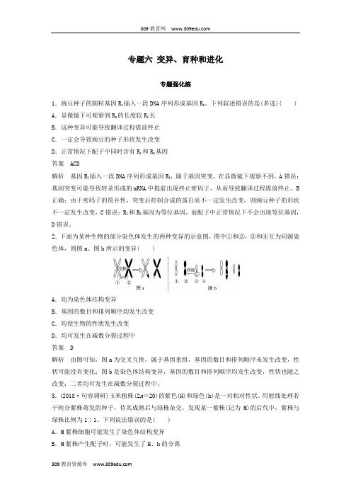 江苏省2019年高考生物二轮复习专题六变异、育种和进化专题强化练