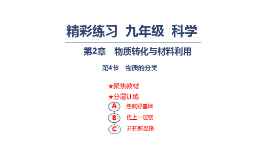 浙教版九年级上册科学课件：2.4物质的分类