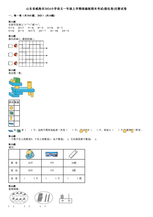 山东省威海市2024小学数学一年级上学期部编版期末考试(强化卷)完整试卷