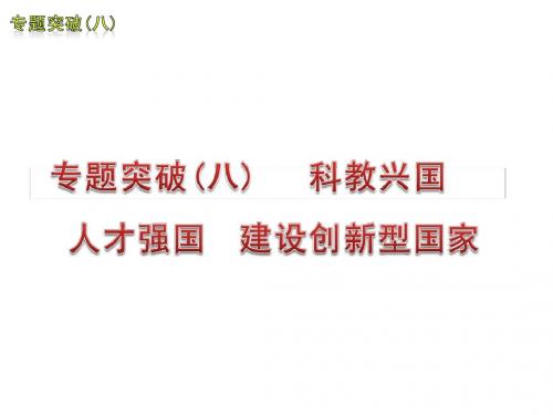 2013年中考政治专题突破复习课件3