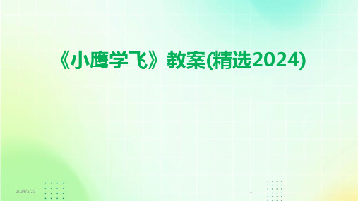 2024年度《小鹰学飞》教案(精选2024)