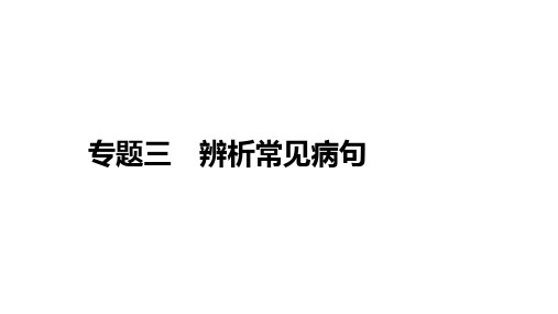 中考语文一轮复习课件：专题三 辨析常见病句