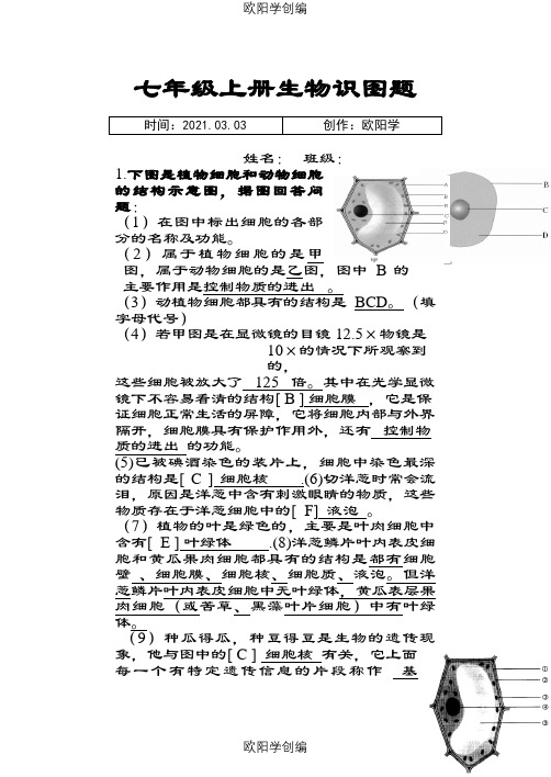 生物七年级生物上册识图题带答案之欧阳学创编