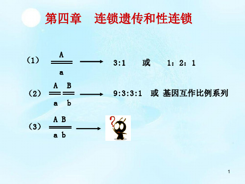 遗传学-第四章连锁遗传和性连锁