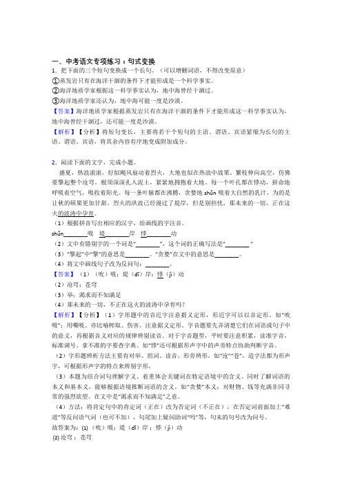 新初中中考 语文句式变换题及答案