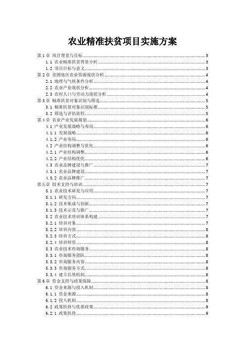 农业精准扶贫项目实施方案