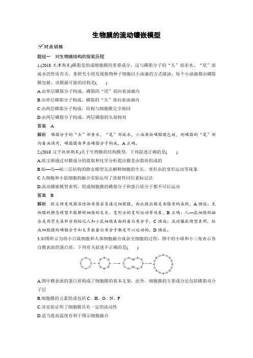 课时作业26：4.2 生物膜的流动镶嵌模型