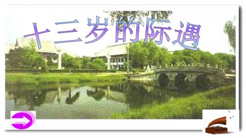 鲁教小学语文六年级下册《十三岁的际遇》ppt课件1