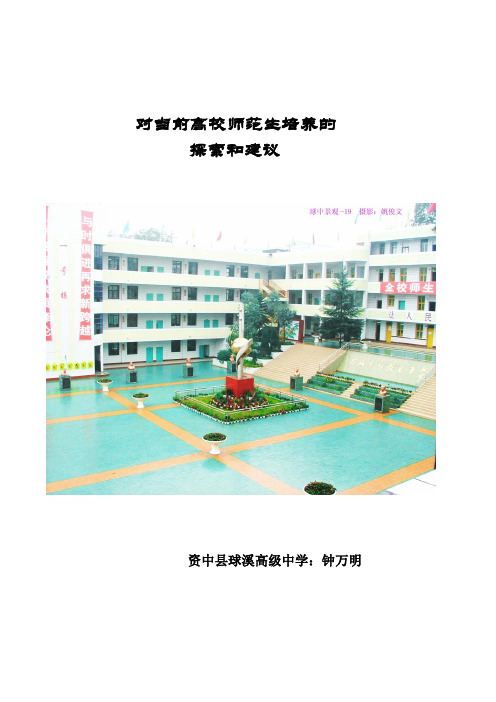 对当前高校师范生培养的探索和建议