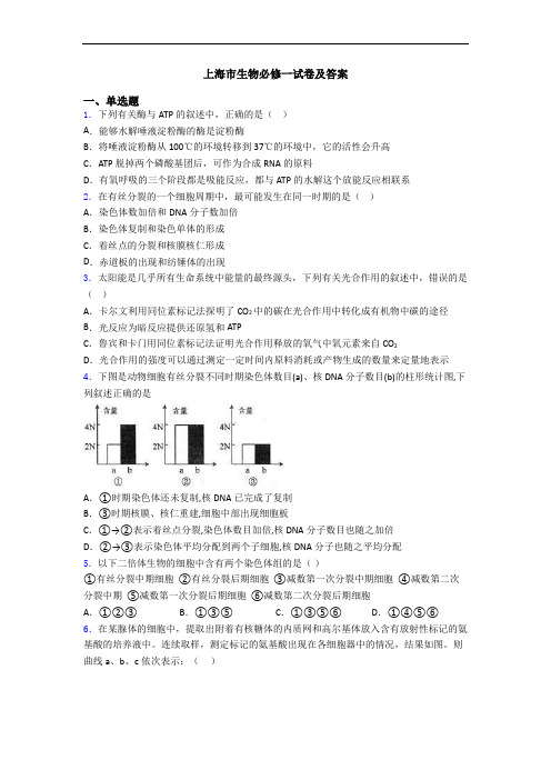 上海市生物必修一试卷及答案