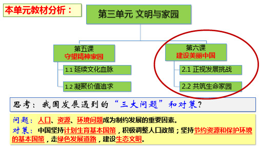 九年级上册第六课第一框 6.1 正视发展挑战 课件 PPT