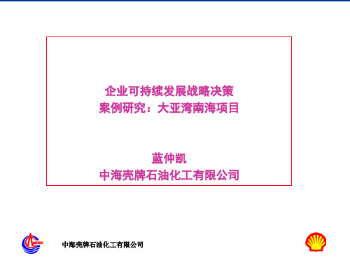 企业可持续发展战略案例