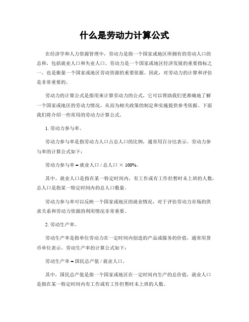 什么是劳动力计算公式