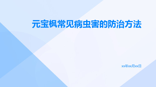 元宝枫常见病虫害的防治方法