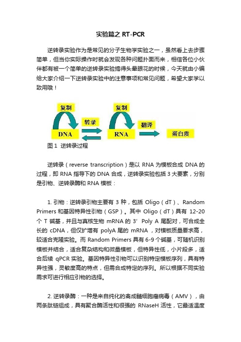 实验篇之RT-PCR