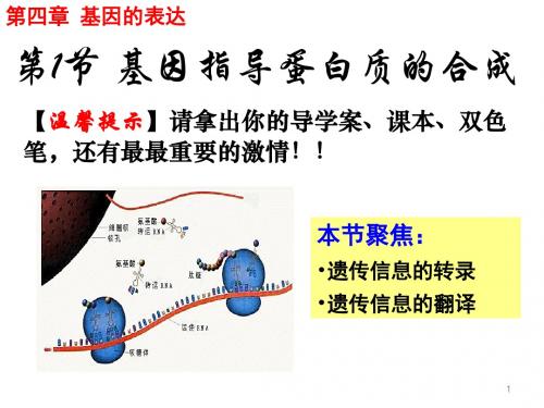 人教版高一生物必修二(课件)4.1基因指导蛋白质的合成 (共62张PPT)