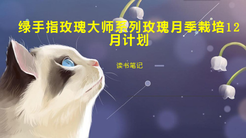 绿手指玫瑰大师系列玫瑰月季栽培12月计划