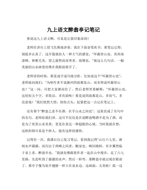 九上语文醉翁亭记笔记