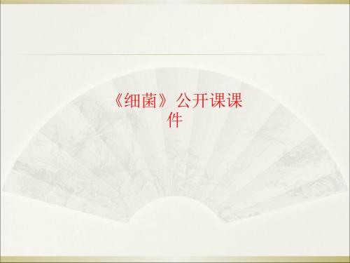 [课件]《细菌》公开课PPT