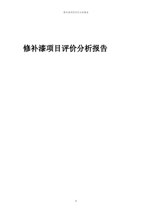 修补漆项目评价分析报告