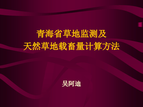 草地监测技术及载畜量计算方法