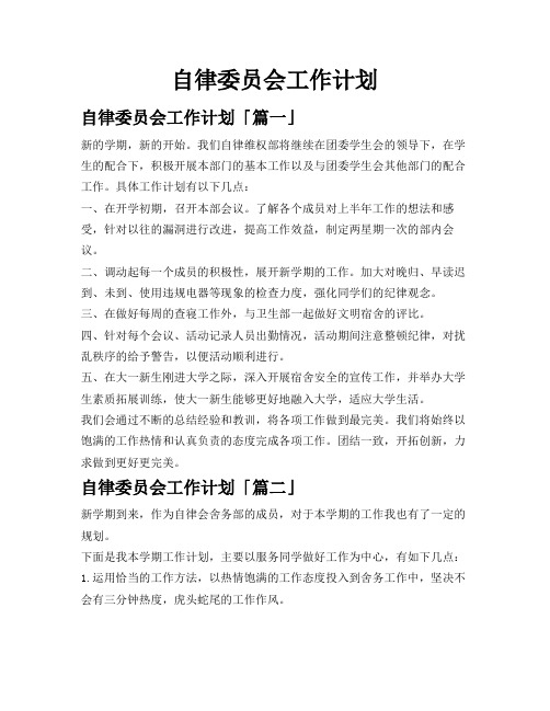 自律委员会工作计划