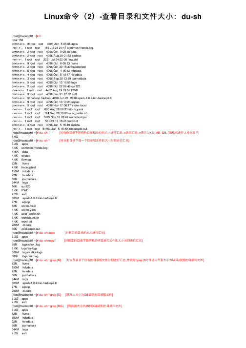 Linux命令（2）-查看目录和文件大小：du-sh