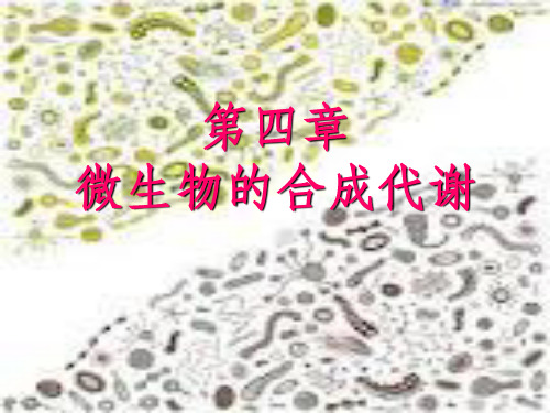 《微生物的合成代谢》PPT课件