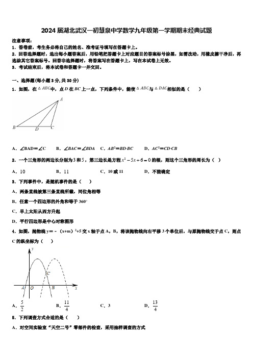 2024届湖北武汉一初慧泉中学数学九年级第一学期期末经典试题含解析