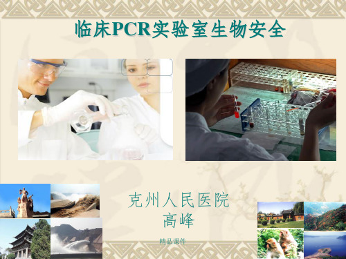 PCR实验室的生物安全ppt课件