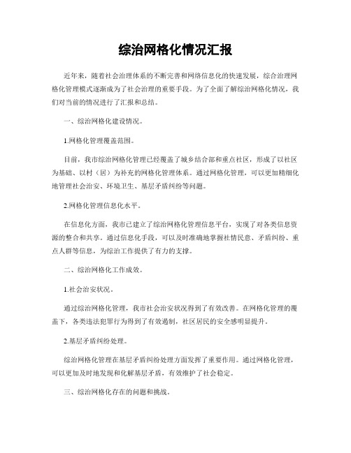 综治网格化情况汇报