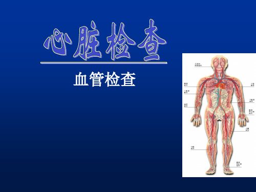 心脏查体之血管检查