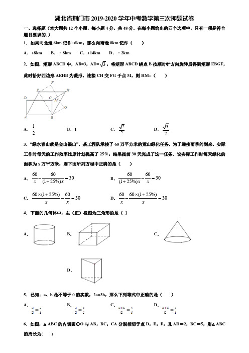 湖北省荆门市2019-2020学年中考数学第三次押题试卷含解析