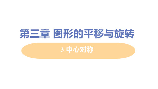 北师大版数学八年级下册3.3中心对称课件