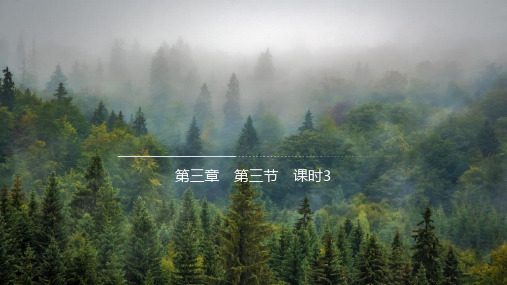 3.3 课时3 气候类型的判断(教学课件)-高中地理人教版(2019)选择性必修1