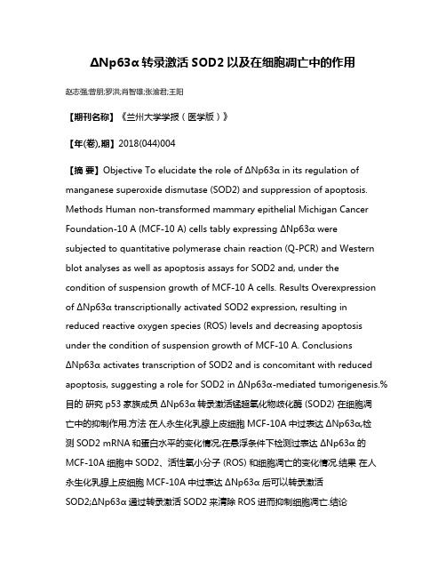 ΔNp63α转录激活SOD2以及在细胞凋亡中的作用