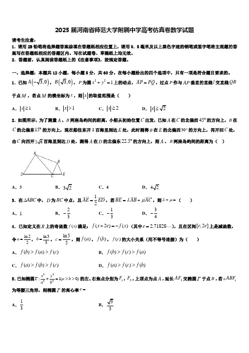 2025届河南省师范大学附属中学高考仿真卷数学试题含解析