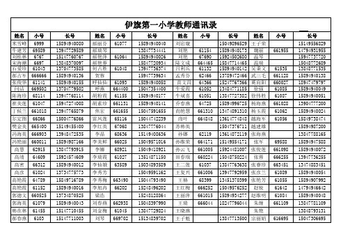 教师通讯录1234