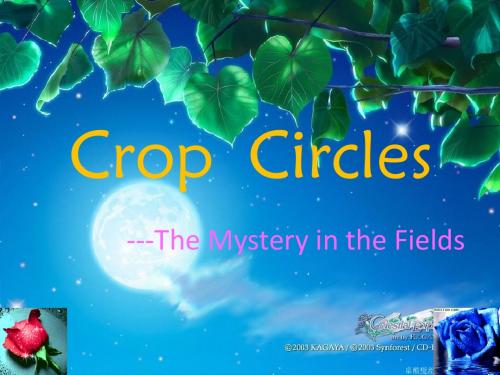 麦田怪圈——Crop  Circles