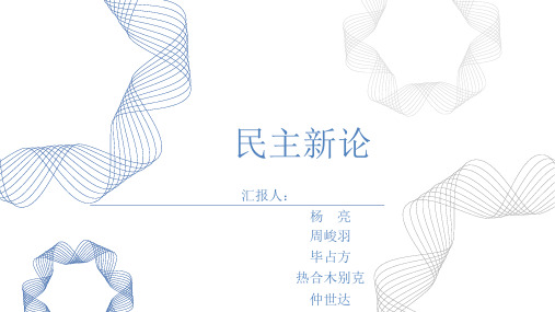 民主新论最终版