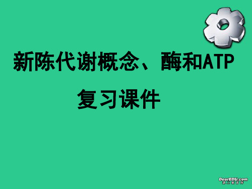 高二生物新陈代谢概念、酶和ATP复习课件