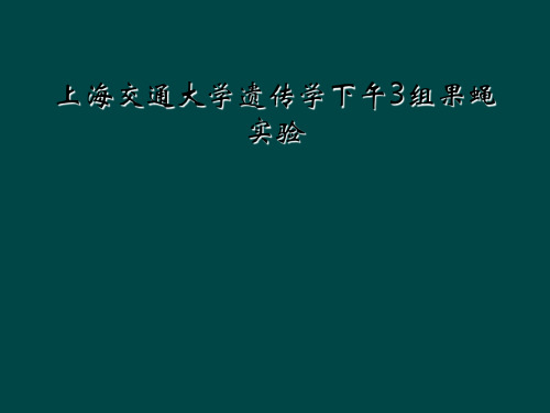 上海交通大学遗传学下午3组果蝇实验