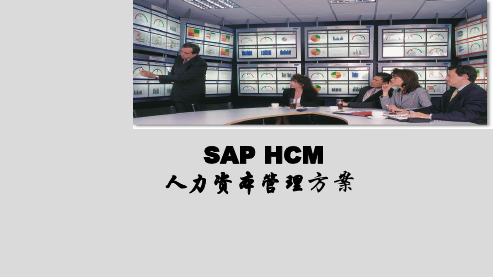 SAP-HCM人力资本管理方案