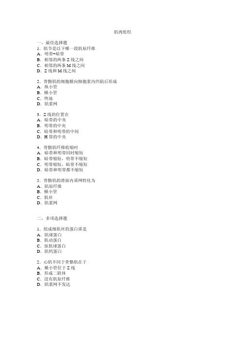 上海交通大学医学院《肌肉组织》上海第二医科大学《组织学与胚胎学》组胚