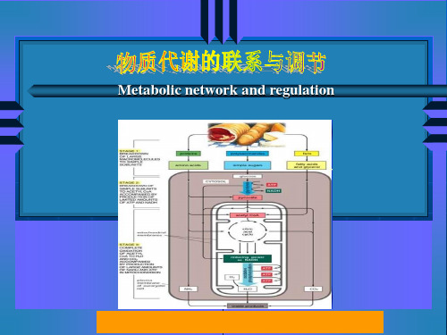 物质代谢的联系与调节PPT课件