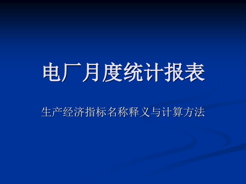 电厂月度统计报表